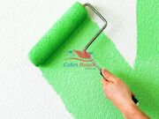 Serviços de Pintura de Comércios no Horto Florestal