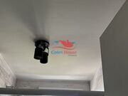 Serviços de Pintura no Pq da Aclimação